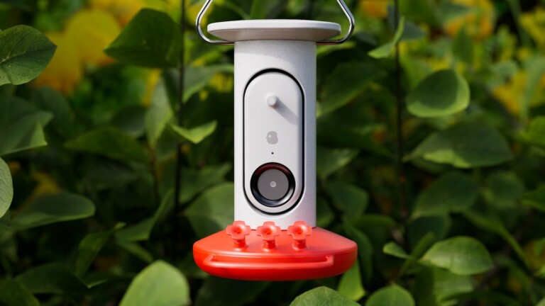 Bird Buddy AI-driven Smart Hummingbird Feeder has a smart camera that recognizes birds
