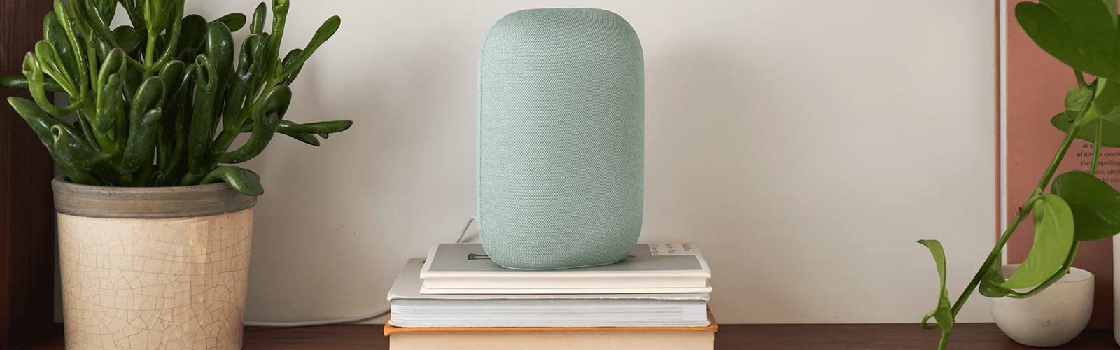 Google Home Accessories