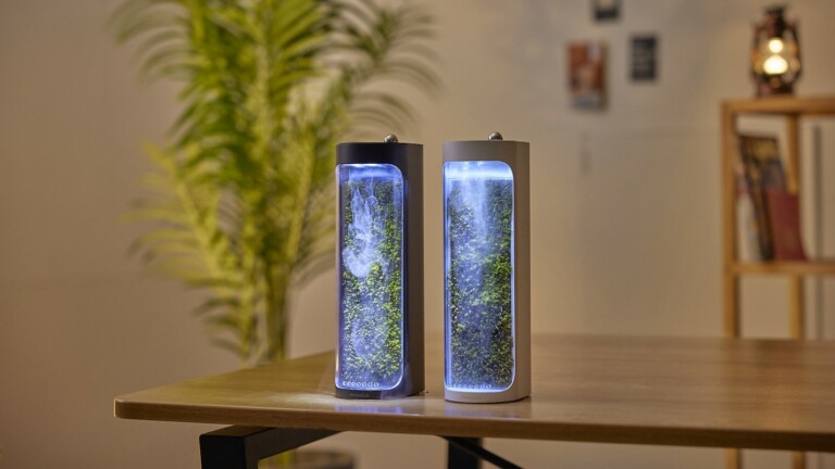 Moss Air terrarium purifier acts as a striking tabletop air purifier and humidifier