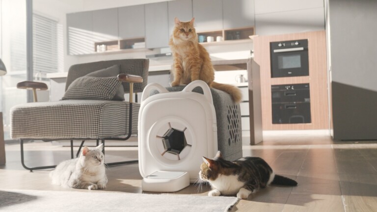 PawSwing Purrring Automatic Cat Self-Groomer truly ensures comfort for your feline friend