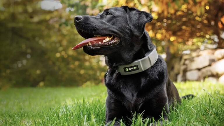 SpotOn GPS dog fence boasts a subscription-free way to let your pup enjoy the outdoors